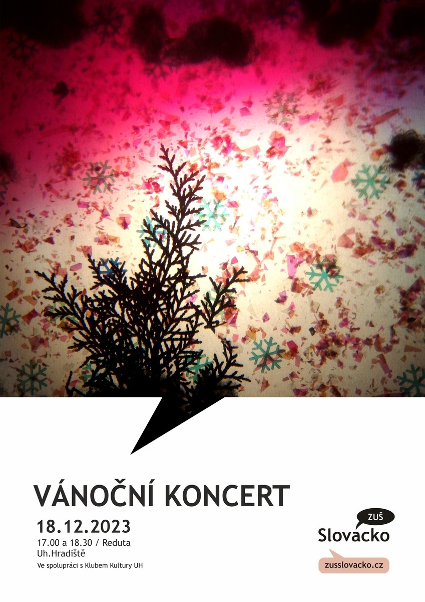 Vánoční koncert